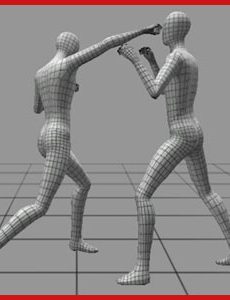 Fighting MoCap 01