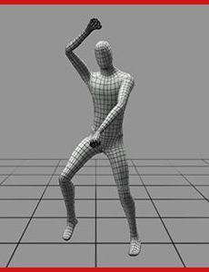 Gestures MoCap 02