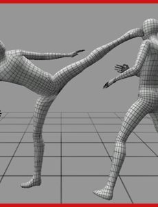 Fighting MoCap 02